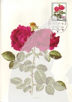 CH MC 1236 / 1240 ● - 1982